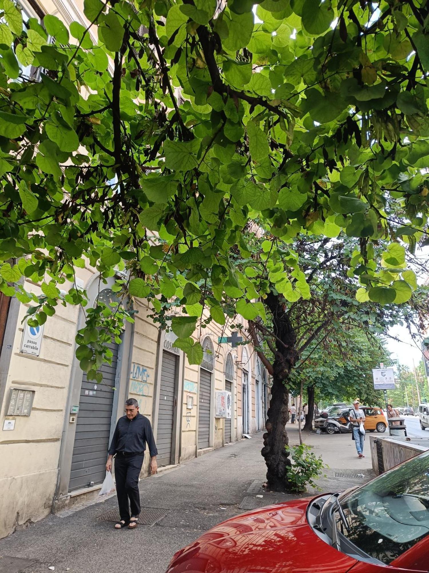 Suites In Rzym Zewnętrze zdjęcie